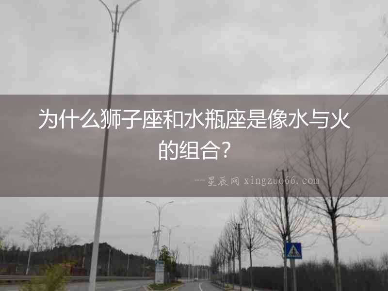 為什么獅子座和水瓶座是像水與火的組合？