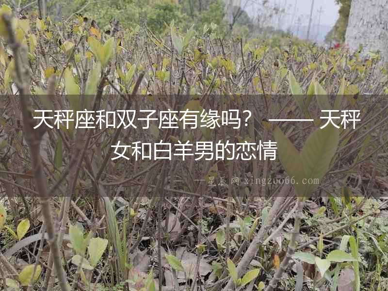  天秤座和雙子座有緣嗎？ —— 天秤女和白羊男的戀情