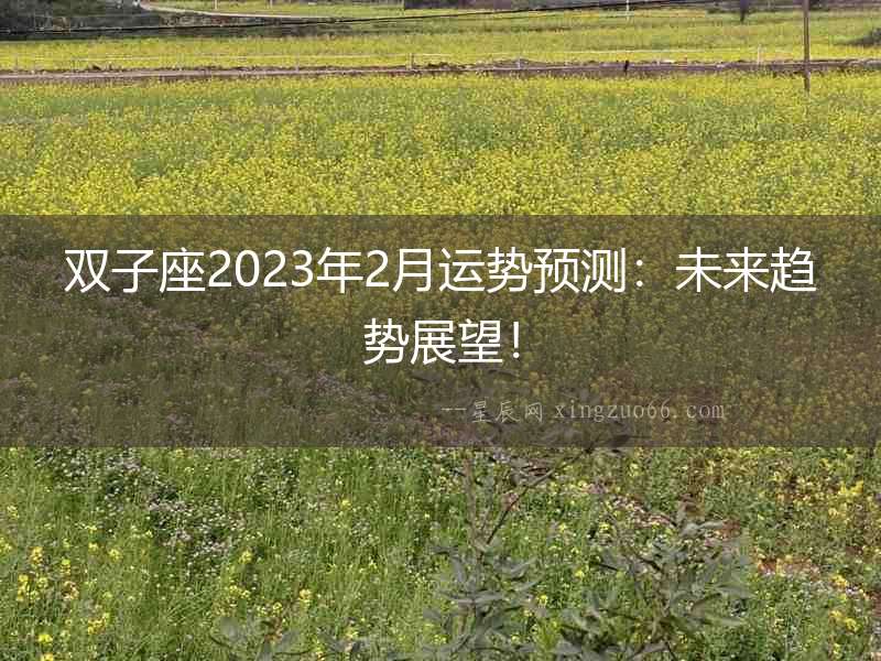 雙子座2023年2月運勢預測：未來趨勢展望！