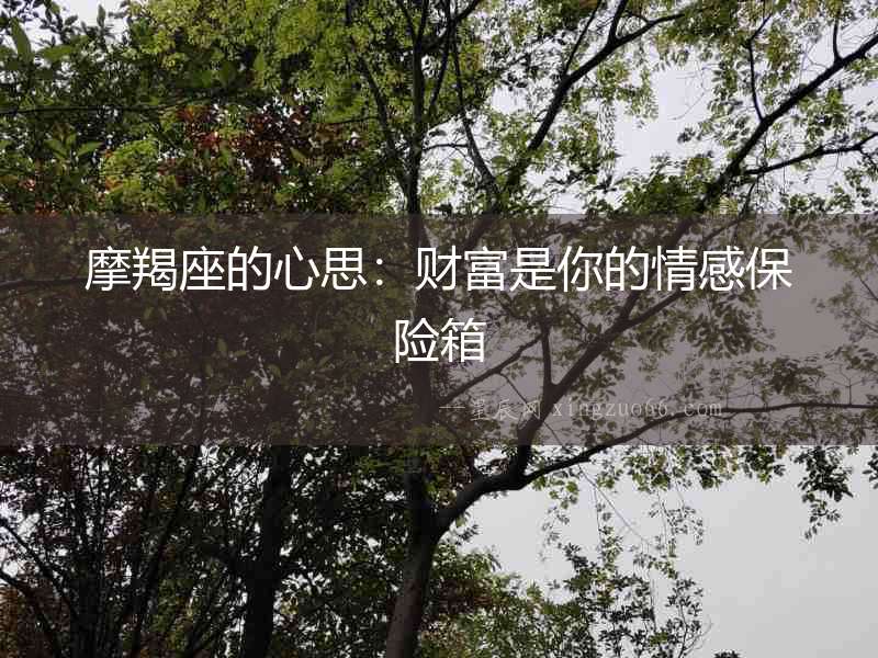 摩羯座的心思：財富是你的情感保險箱
