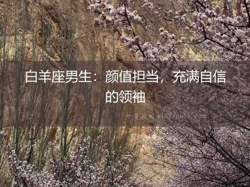 白羊座男生：顏值擔當，充滿自信的領袖