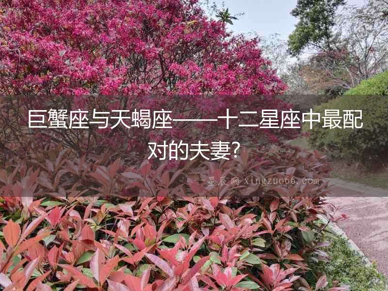 巨蟹座與天蝎座——十二星座中最配對的夫妻?