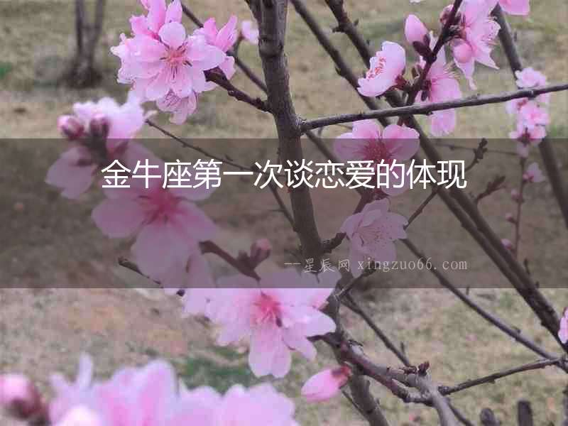 金牛座第一次談戀愛的體現