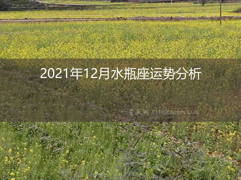 2021年12月水瓶座運勢分析
