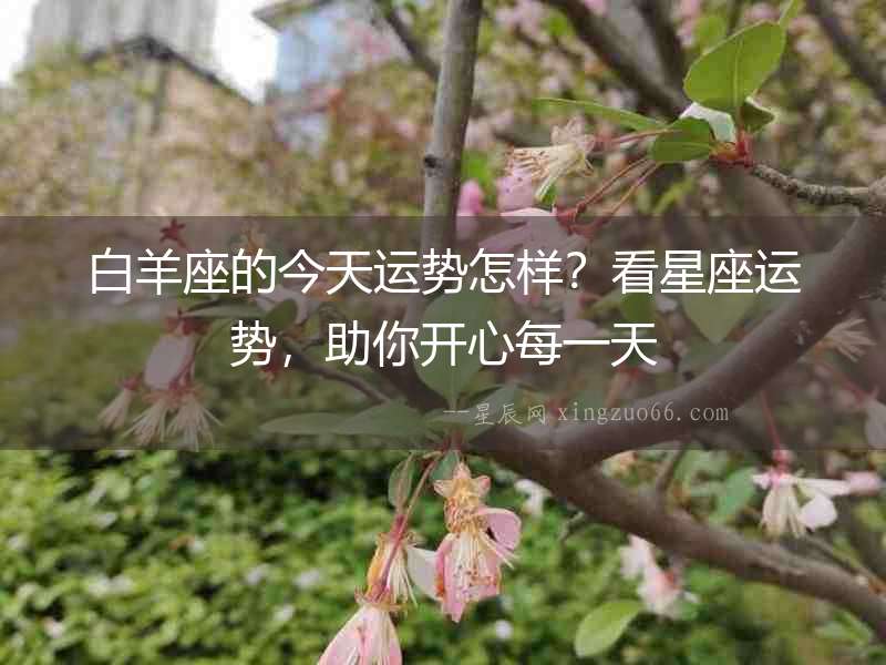 白羊座的今天運勢怎樣？看星座運勢，助你開心每一天