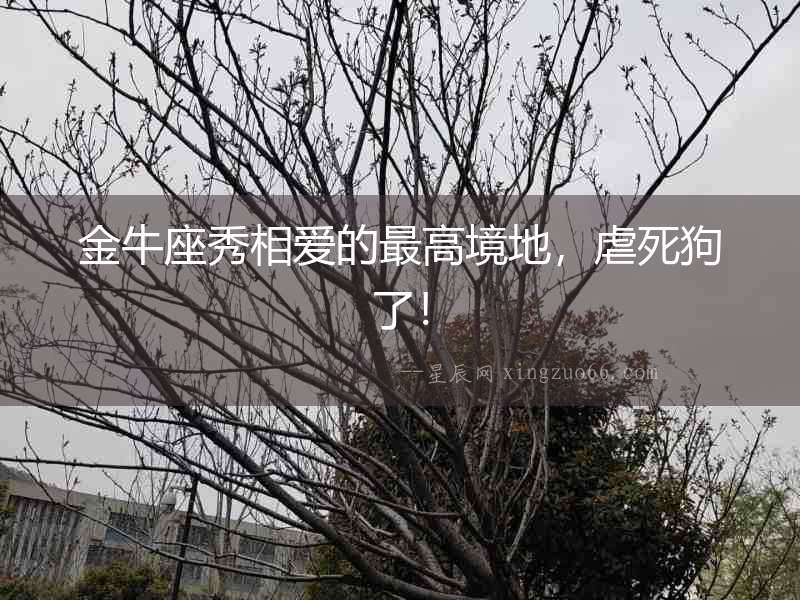 金牛座秀相愛的最高境地，虐死狗了！