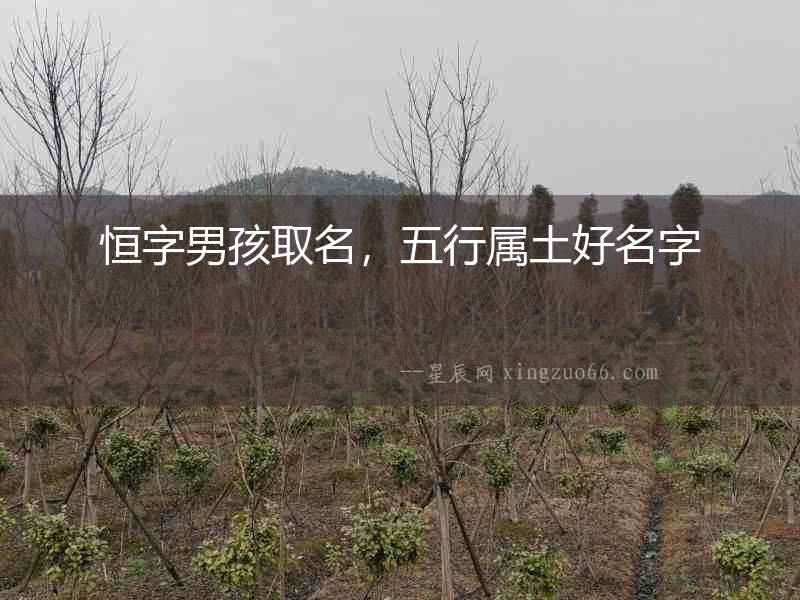 恒字男孩取名，五行屬土好名字