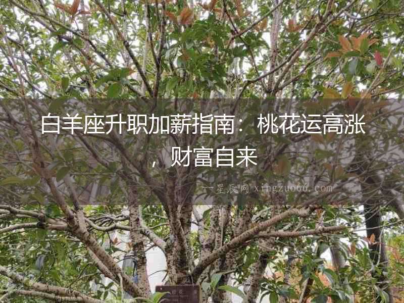 白羊座升職加薪指南：桃花運高漲，財富自來
