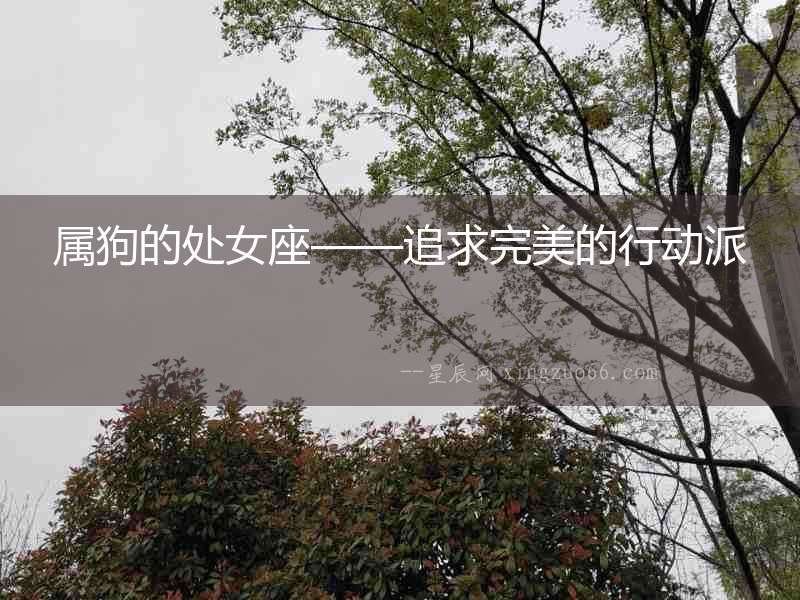 屬狗的處女座——追求完美的行動派