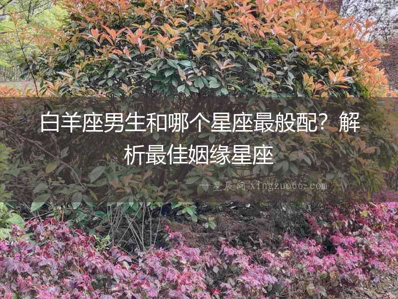 白羊座男生和哪個星座最般配？解析最佳姻緣星座