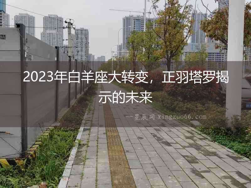 2023年白羊座大轉變，正羽塔羅揭示的未來