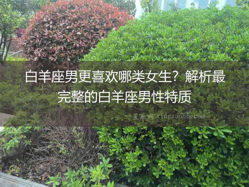 白羊座男更喜歡哪類女生？解析最完整的白羊座男性特質(zhì)