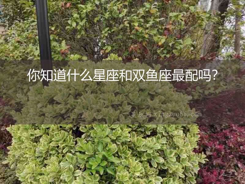 你知道什么星座和雙魚座最配嗎？