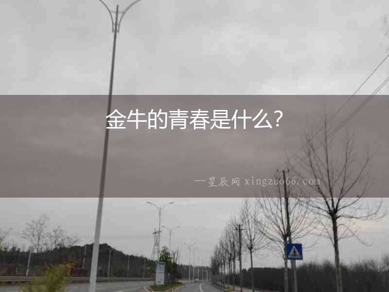 金牛的青春是什么？