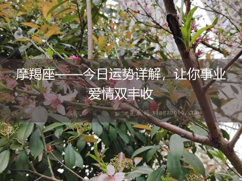 摩羯座——今日運勢詳解，讓你事業愛情雙豐收