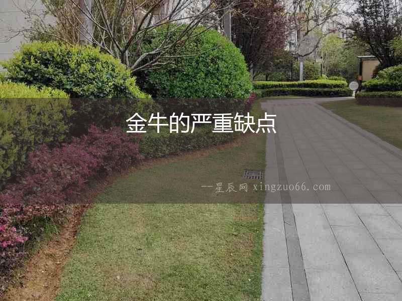 金牛的嚴重缺點