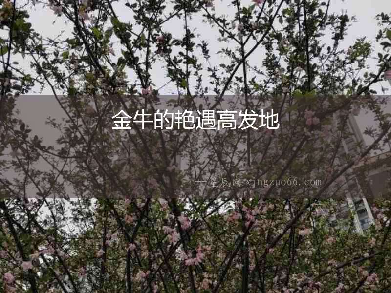 金牛的艷遇高發(fā)地