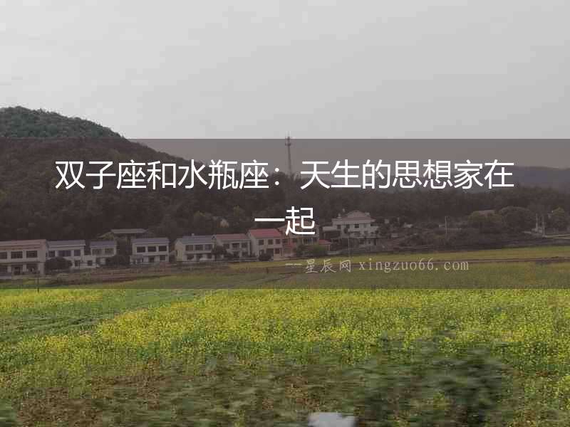 雙子座和水瓶座：天生的思想家在一起