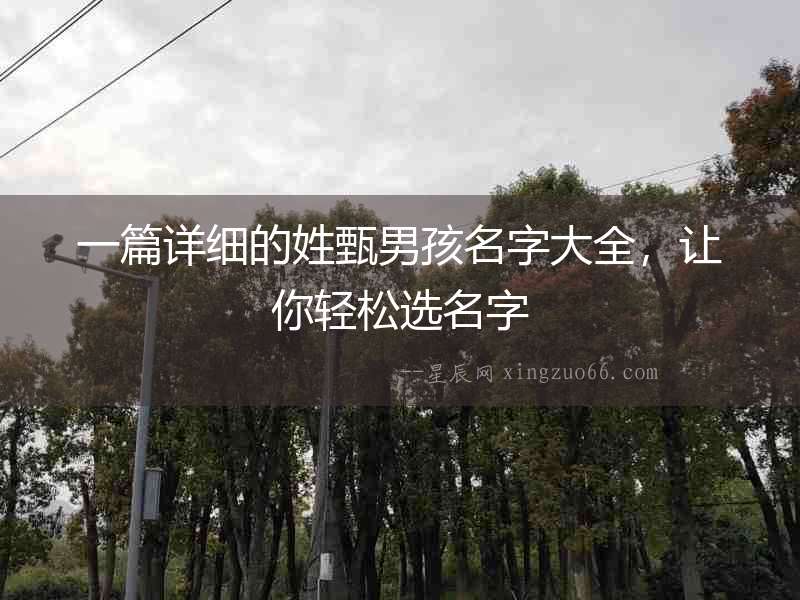 一篇詳細的姓甄男孩名字大全，讓你輕松選名字