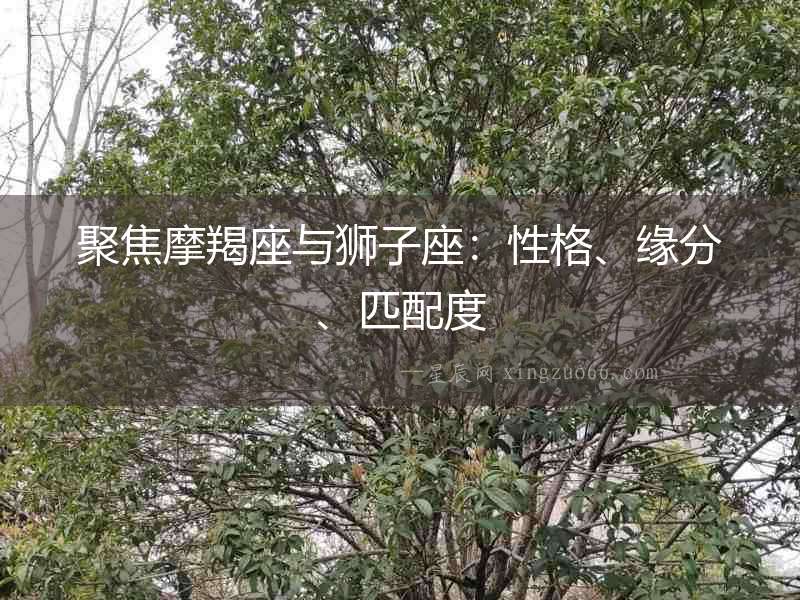 聚焦摩羯座與獅子座：性格、緣分、匹配度