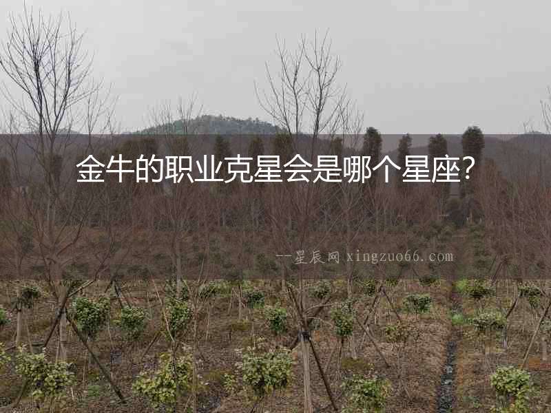 金牛的職業克星會是哪個星座？