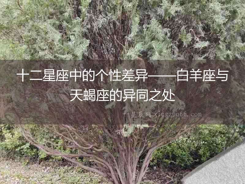 十二星座中的個性差異——白羊座與天蝎座的異同之處