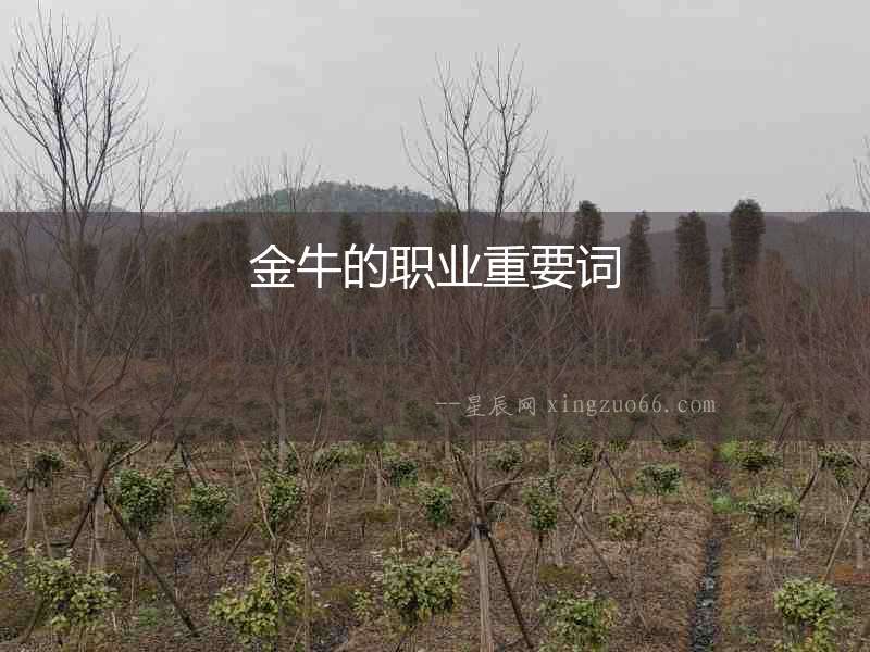 金牛的職業(yè)重要詞