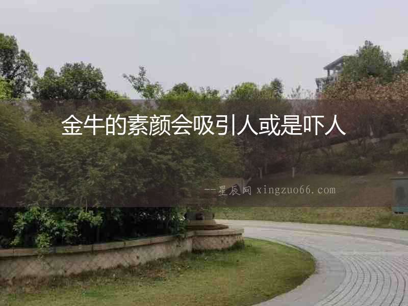 金牛的素顏會吸引人或是嚇人