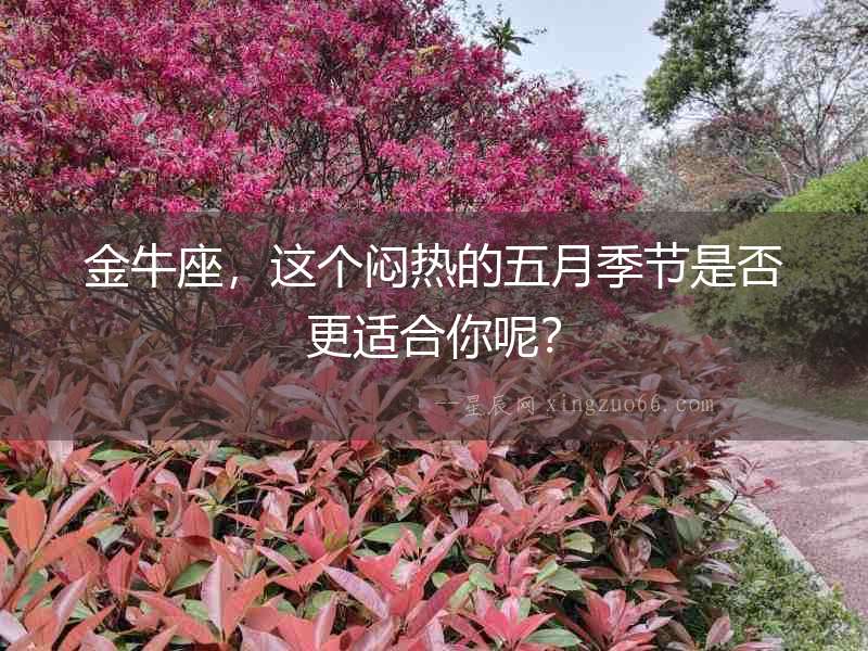 金牛座，這個(gè)悶熱的五月季節(jié)是否更適合你呢？