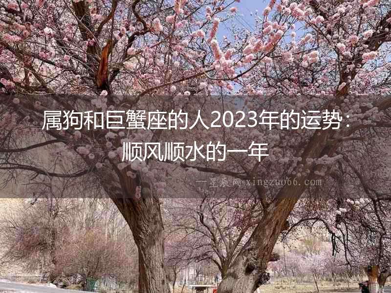 屬狗和巨蟹座的人2023年的運勢：順風順水的一年