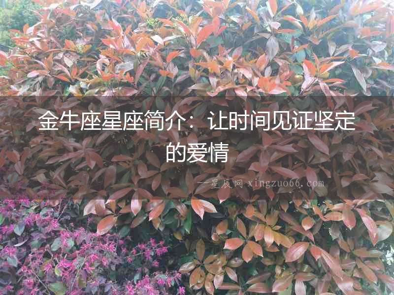 金牛座星座簡(jiǎn)介：讓時(shí)間見證堅(jiān)定的愛情