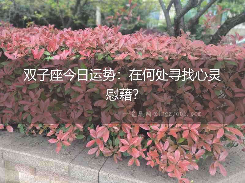 雙子座今日運勢：在何處尋找心靈慰藉？
