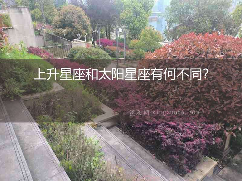 上升星座和太陽星座有何不同？