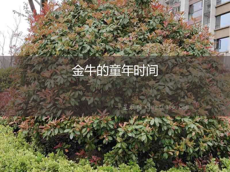金牛的童年時間