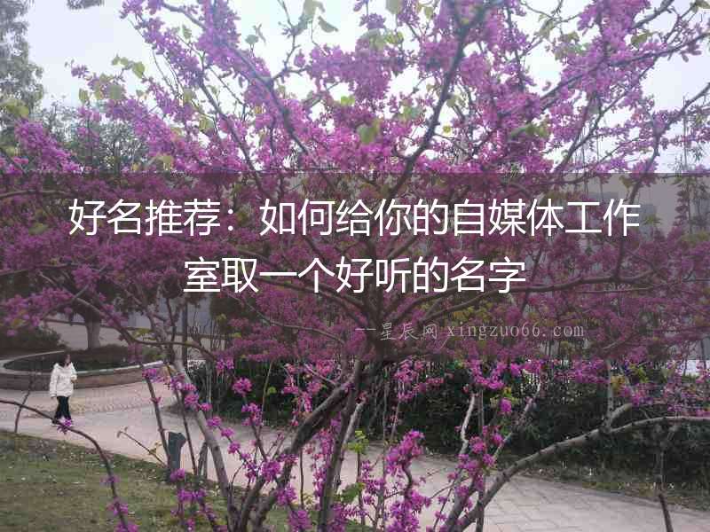 好名推薦：如何給你的自媒體工作室取一個好聽的名字