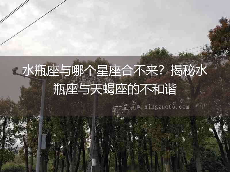 水瓶座與哪個星座合不來？揭秘水瓶座與天蝎座的不和諧
