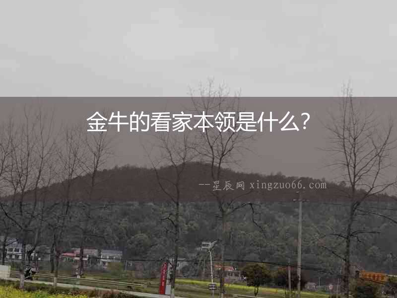金牛的看家本領是什么？