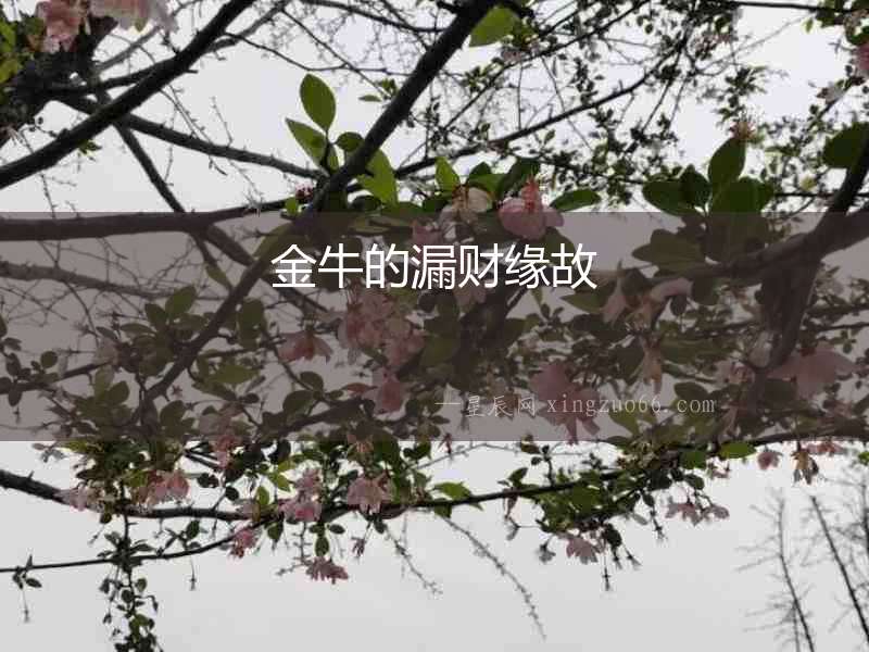 金牛的漏財(cái)緣故