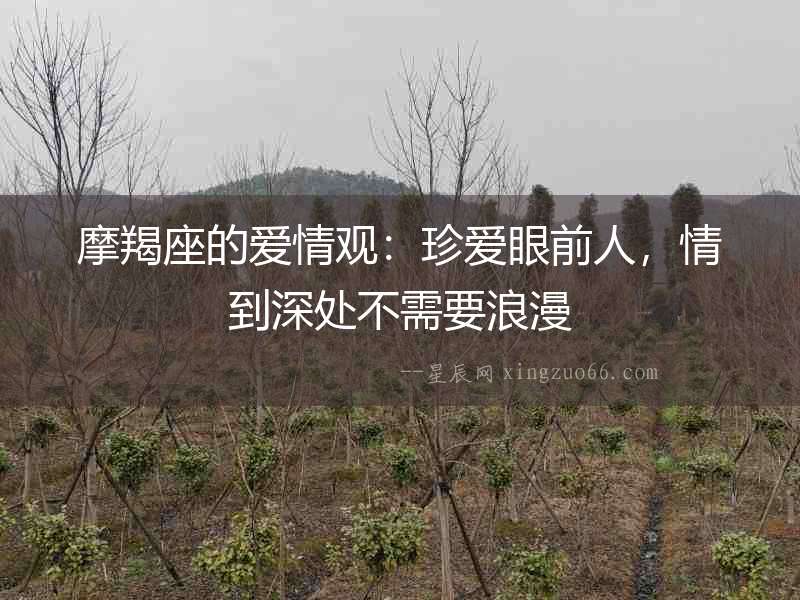 摩羯座的愛情觀：珍愛眼前人，情到深處不需要浪漫