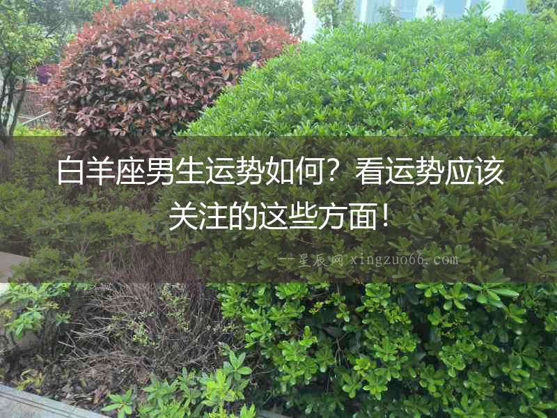 白羊座男生運勢如何？看運勢應該關注的這些方面！