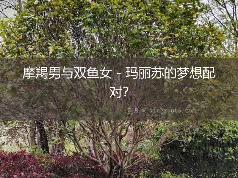 摩羯男與雙魚女 - 瑪麗蘇的夢想配對？