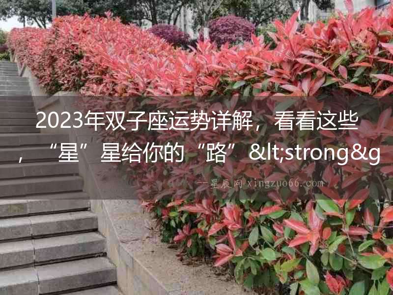 2023年雙子座運勢詳解，看看這些，“星”星給你的“路”<strong>已打</strong>開！