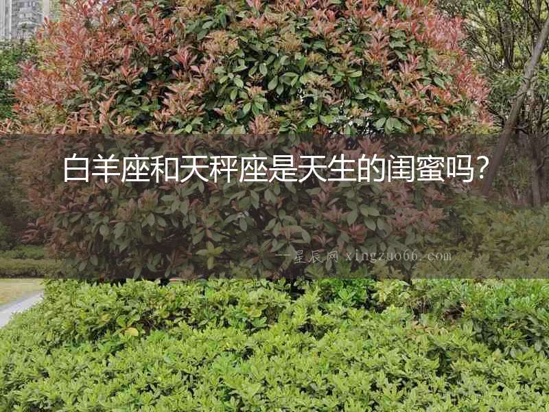 白羊座和天秤座是天生的閨蜜嗎？