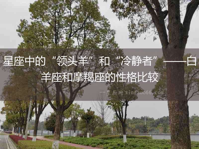 星座中的“領頭羊”和“冷靜者”——白羊座和摩羯座的性格比較
