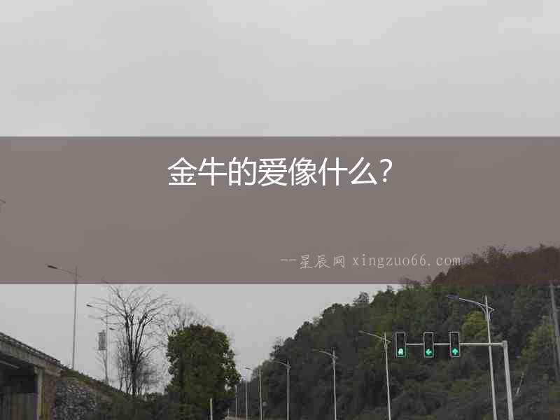 金牛的愛像什么？
