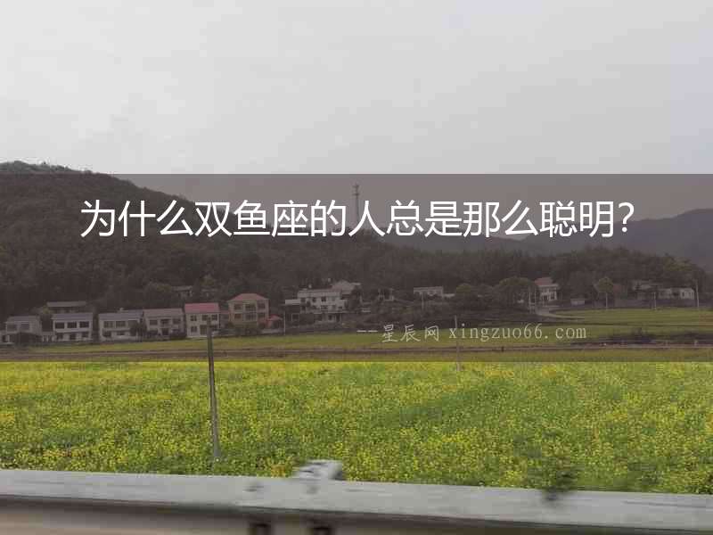 為什么雙魚(yú)座的人總是那么聰明？
