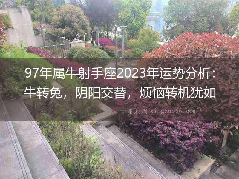 97年屬牛射手座2023年運勢分析：牛轉兔，陰陽交替，煩惱轉機猶如云煙