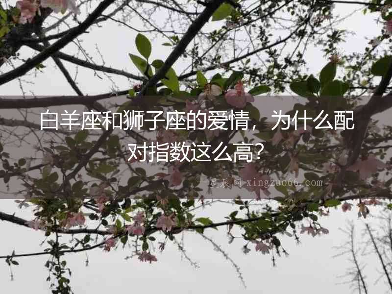 白羊座和獅子座的愛(ài)情，為什么配對(duì)指數(shù)這么高？