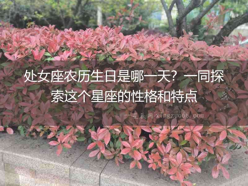 處女座農歷生日是哪一天？一同探索這個星座的性格和特點