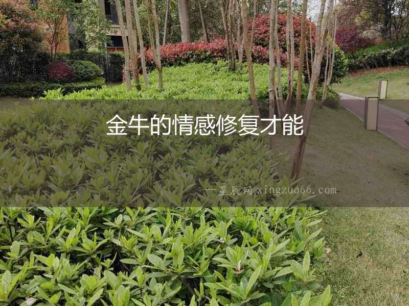 金牛的情感修復才能